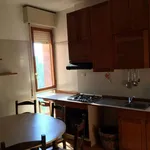 Rent a room in bologna