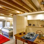 Rent 1 bedroom apartment of 25 m² in Lyon