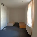 Rent 1 bedroom apartment in Brno