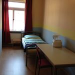 Miete 1 Schlafzimmer wohnung von 30 m² in Dresden