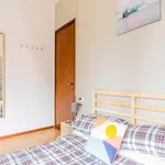 Rent a room in Padua