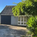 Rent 1 bedroom apartment in Auckland