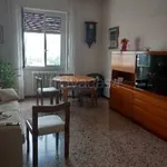 Rent 2 bedroom apartment of 75 m² in Segrate