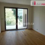 Rent 2 bedroom apartment in Praha 5