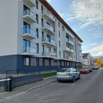 Rent 2 bedroom apartment of 61 m² in Brasov