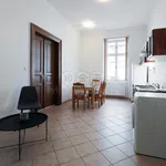 Rent 3 bedroom apartment of 87 m² in Pilsen