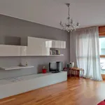 Rent 1 bedroom apartment in Milan