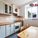 REZERVOVÁNO !!! Nabízíme pronájem suterénního bytu 1+1 se zahradou, ul. Olomoucká, Opava