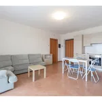 Rent 2 bedroom apartment of 68 m² in Milano