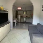 Rent 1 bedroom apartment in Padua