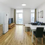 Pronajměte si 2 ložnic/e byt o rozloze 58 m² v Prague