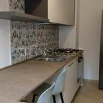 Rent 2 bedroom apartment of 60 m² in Novara