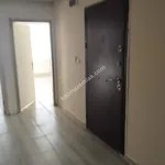 Rent 3 bedroom apartment of 110 m² in Siirt