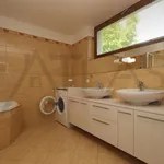 Rent 3 bedroom apartment of 122 m² in Prague