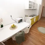 Rent 1 bedroom apartment of 55 m² in Brno