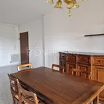 Rent 3 bedroom apartment of 100 m² in Modena