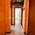 Rent 2 bedroom apartment of 50 m² in Campobasso