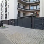 Rent 1 bedroom apartment of 42 m² in Pilsen