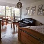 Rent 1 bedroom apartment of 36 m² in Dresden