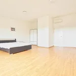 Pronajměte si 3 ložnic/e byt o rozloze 120 m² v Prague