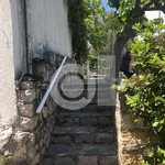 Rent 4 bedroom house of 250 m² in Μαλεσίνα