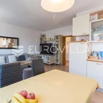 Rent 2 bedroom apartment of 77 m² in Rovinj