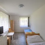 Rent 1 bedroom house of 90 m² in Ratiboř