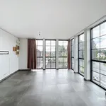 Rent 3 bedroom apartment in Waardamme