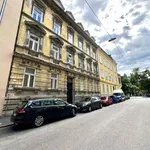 Rent 2 bedroom apartment of 66 m² in Graz