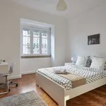 Rent 6 bedroom apartment in lisbon