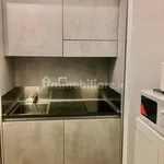 Rent 1 bedroom apartment of 25 m² in Turin