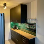 Rent 1 bedroom apartment of 43 m² in Prague