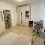 Rent 1 bedroom apartment of 32 m² in budapest