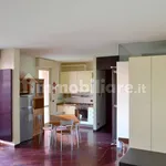 Rent 1 bedroom apartment of 45 m² in Brescia