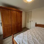 Rent 2 bedroom apartment of 45 m² in Nieuw-Vennep