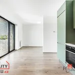 Rent 1 bedroom apartment of 40 m² in Vyškov