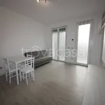 Rent 2 bedroom apartment of 58 m² in Monza