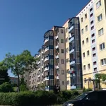 Rent 4 bedroom apartment of 81 m² in Rostock