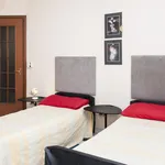 Rent 1 bedroom apartment in Turin