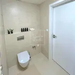 Pronajměte si 1 ložnic/e byt o rozloze 37 m² v Prague