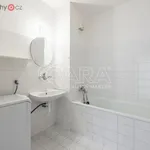 Rent 1 bedroom apartment of 42 m² in Praha