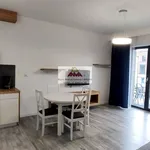 Rent 3 bedroom apartment of 56 m² in Lublin