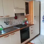 Rent 4 bedroom apartment of 100 m² in Chieti