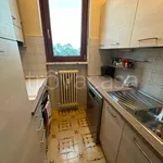 Rent 2 bedroom apartment of 55 m² in Torino