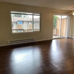 Rent 1 bedroom apartment in Kent