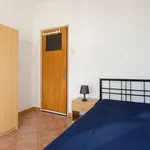 Rent 3 bedroom house in Coimbra