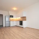 2+kk, 55m2 + balkon 19m2, novostavba, Brandýs nad Labem