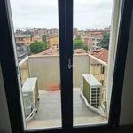 Rent 1 bedroom house of 20 m² in Bologna