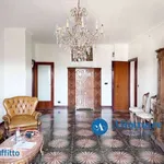 Rent 4 bedroom apartment of 120 m² in Bari