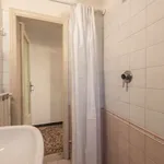 Rent 1 bedroom apartment in florence